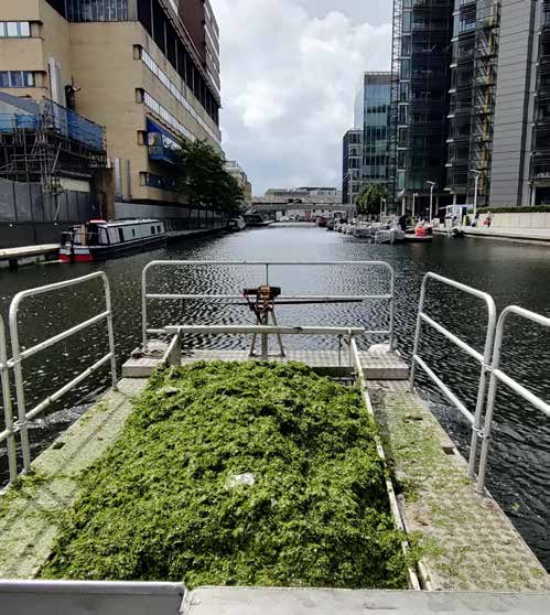 WHH aquatic weed collection vessel operating in Paddington Basin